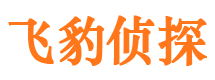 沙市市侦探公司